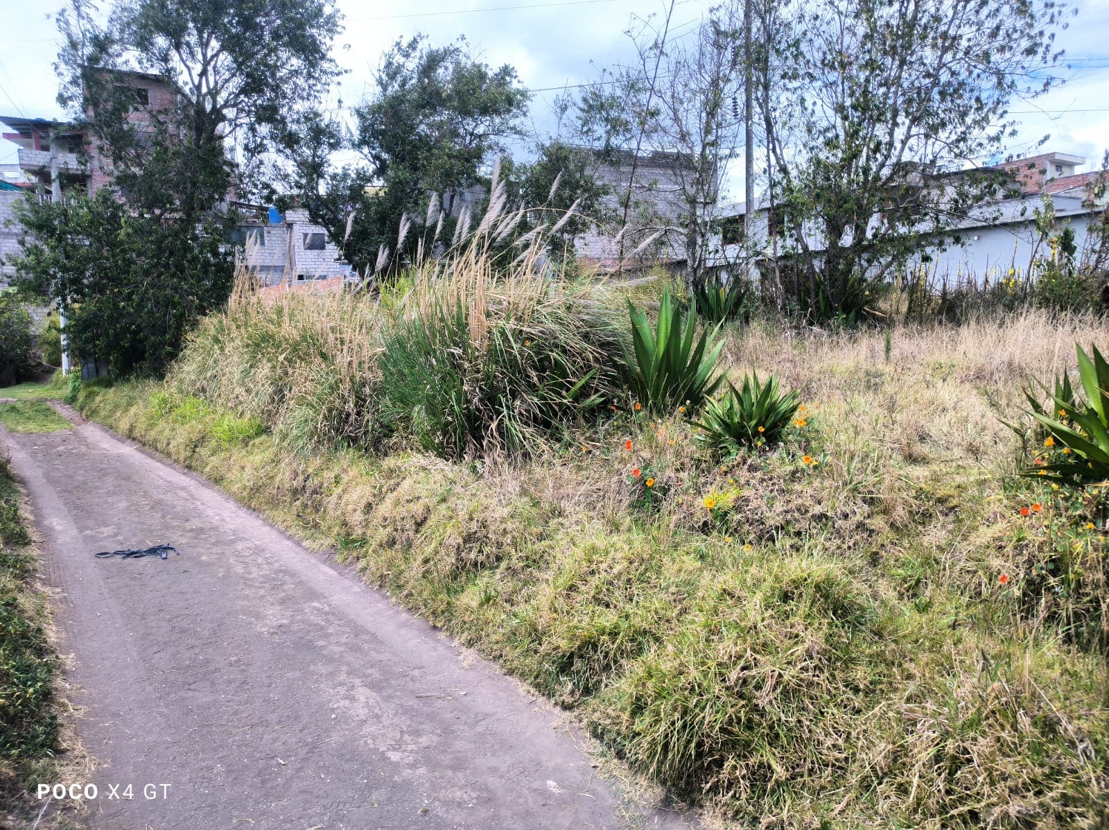Foto del inmueble en Oriente