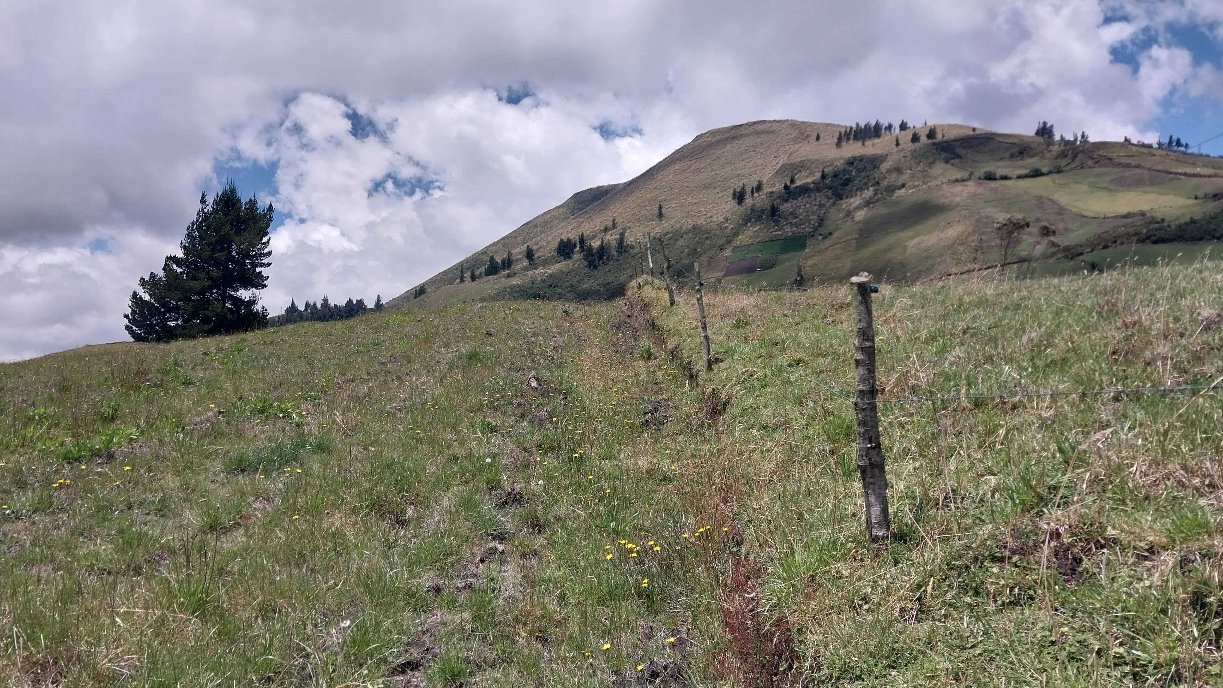 Foto del inmueble en El Inmueble Está Ubicado en la Provincia de Cotopaxi, Cantón Latacunga, Parroquia Pastocalle, Lote de Terreno Signado con El Número Veintiséis de la Faja Trece