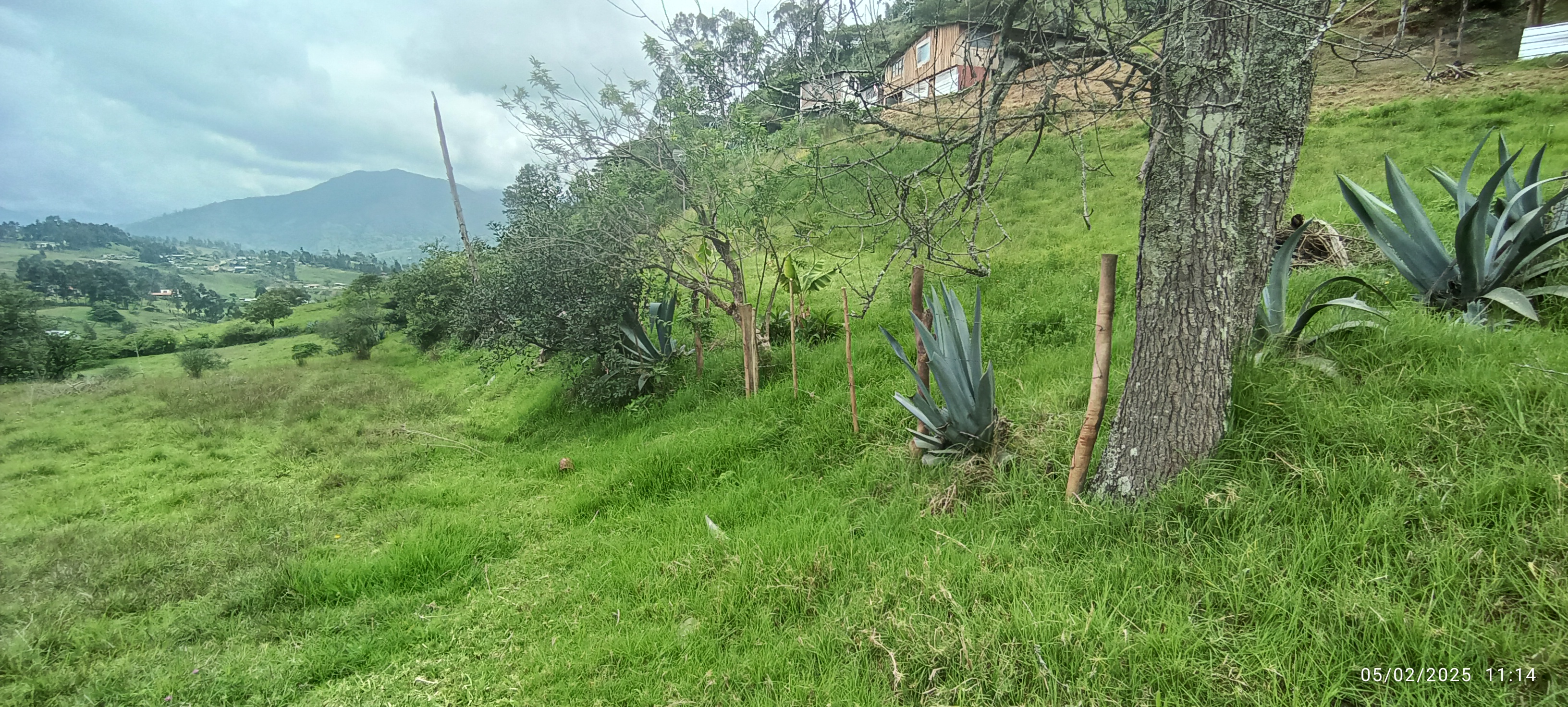 Foto del portal de remates judiciales