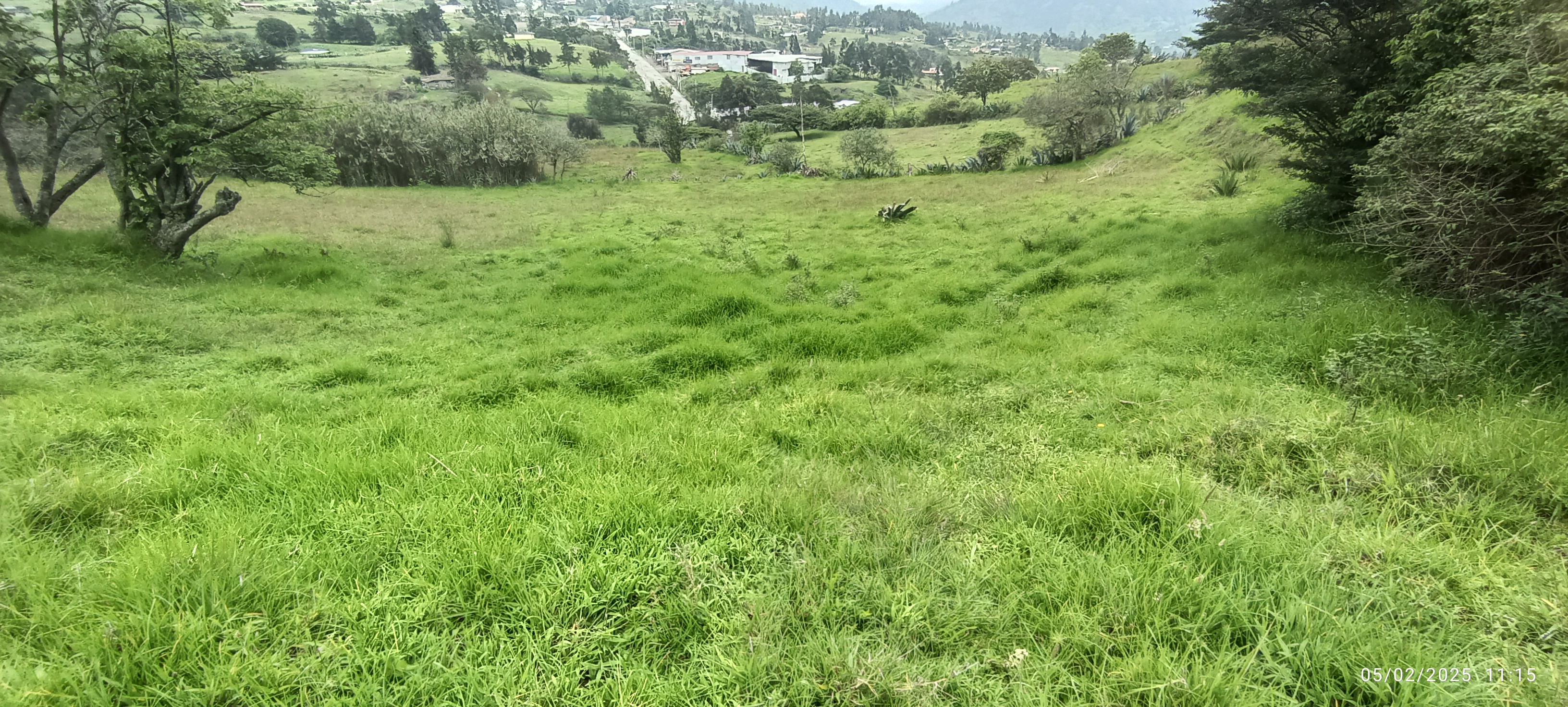 Foto del inmueble en Carigan