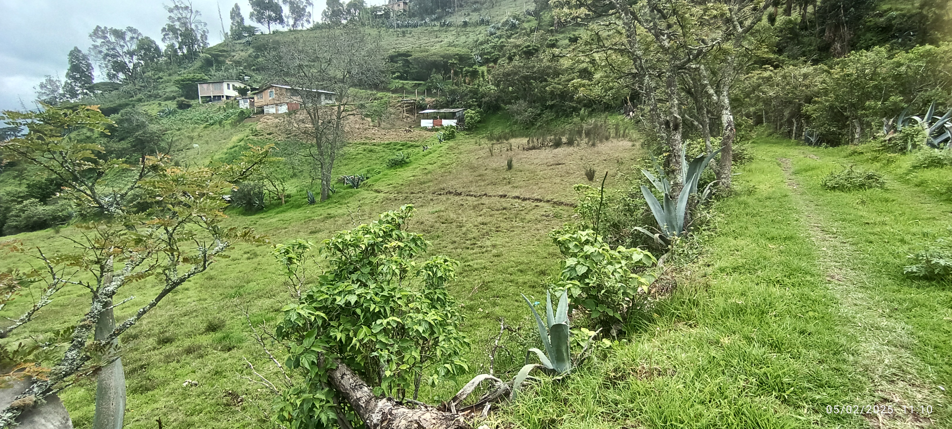 Foto del portal de remates judiciales