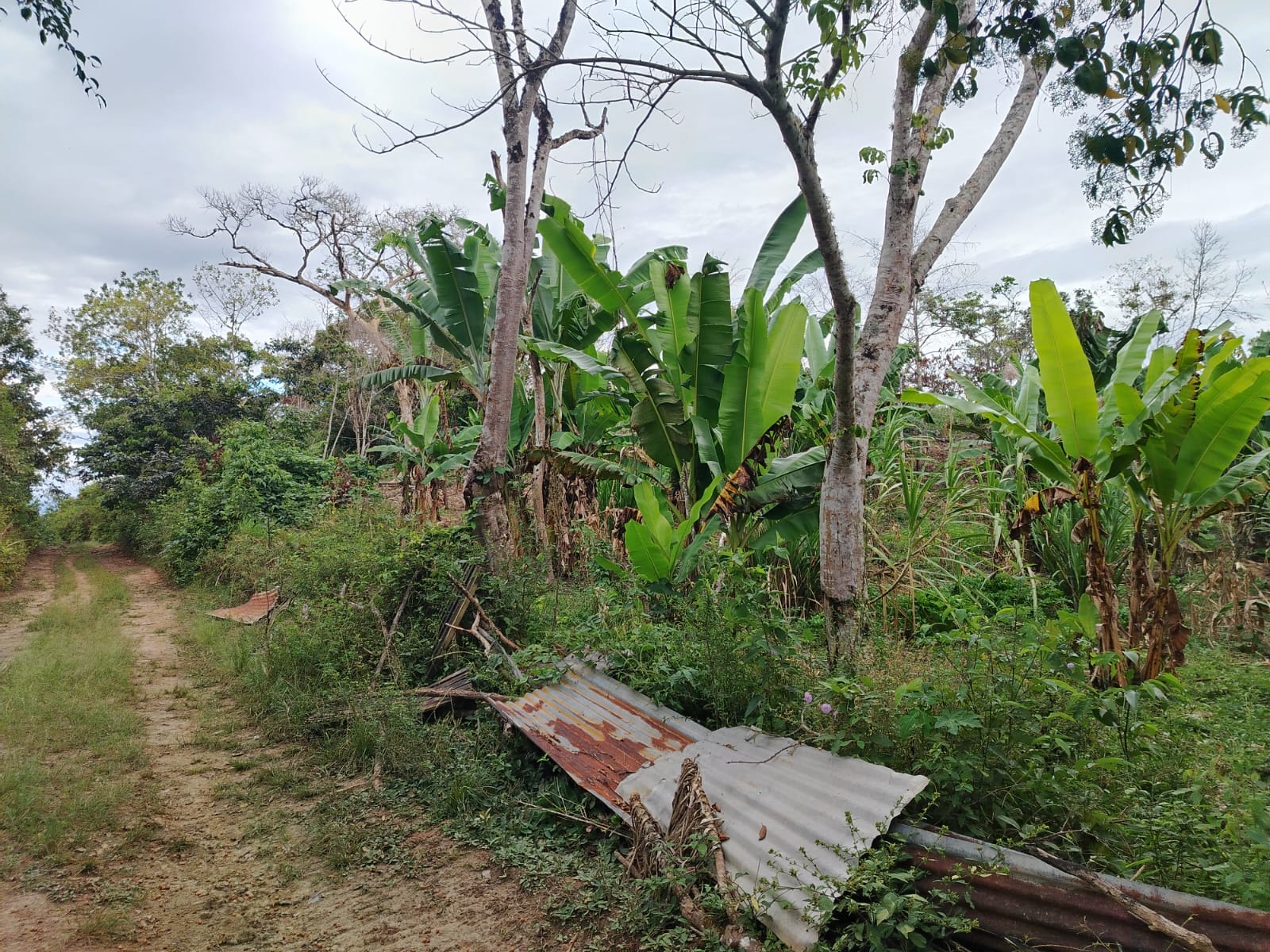 Foto del portal de remates judiciales