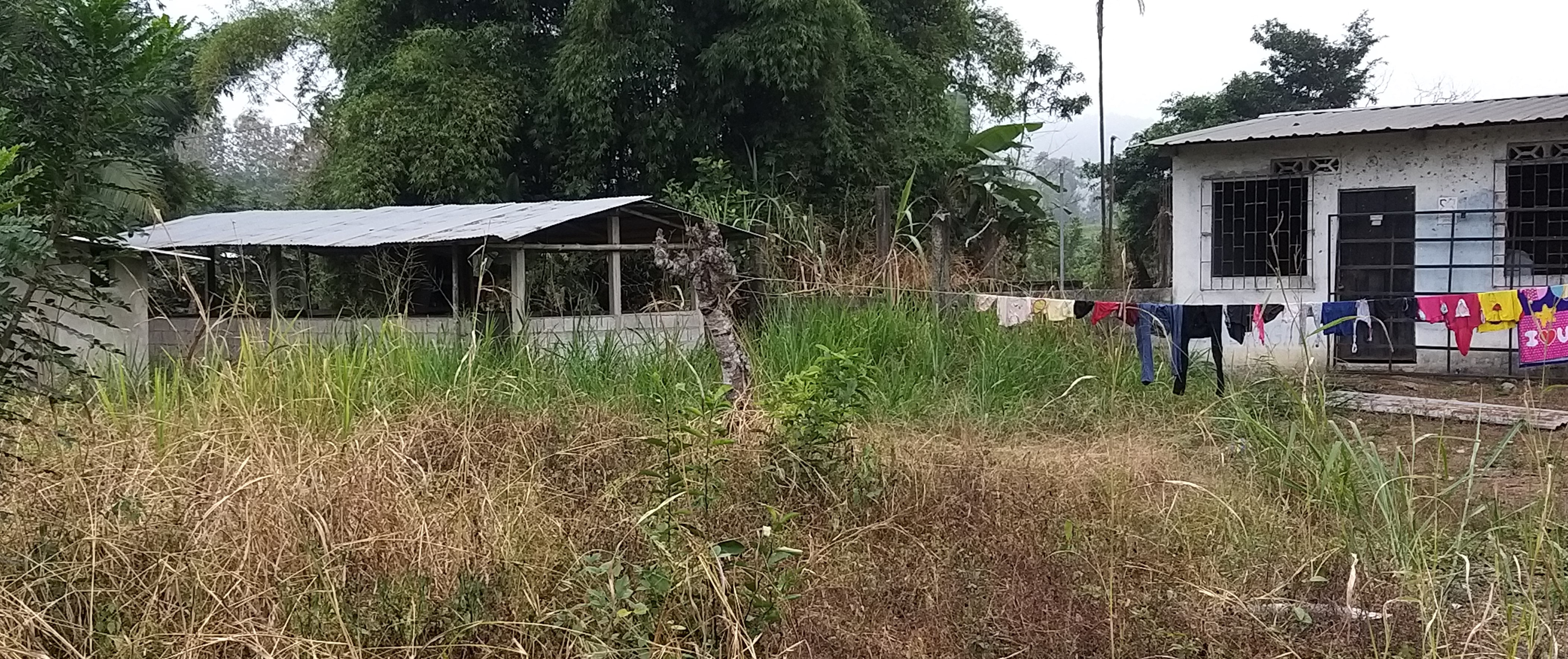 Foto del portal de remates judiciales