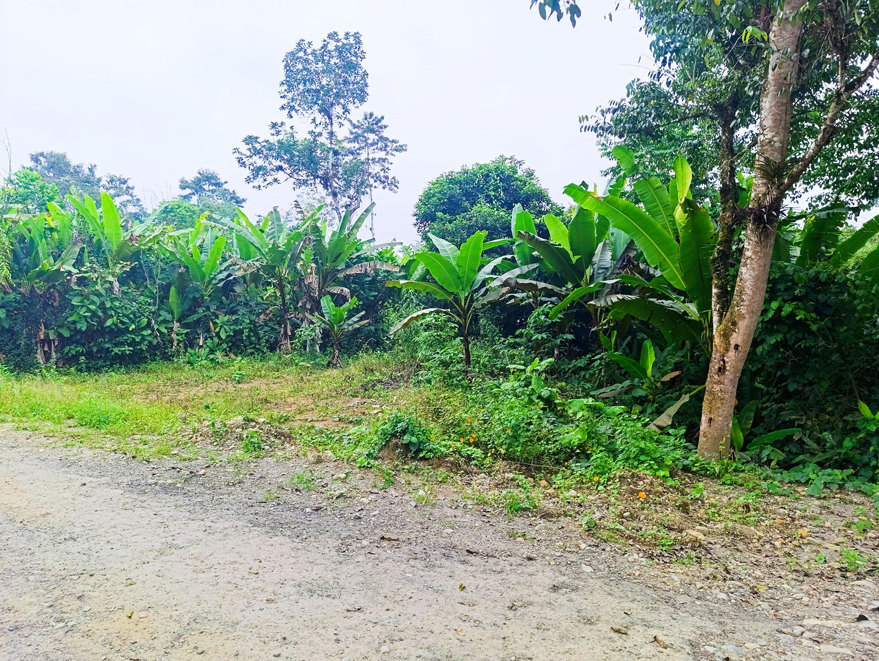 Foto del inmueble en Ubicado en El Sector del Recinto Río Verde