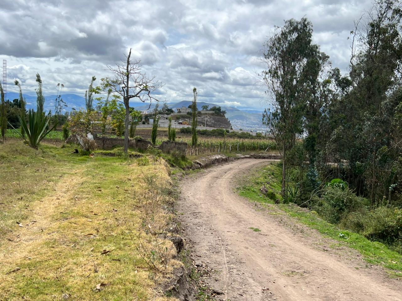 Foto del portal de remates judiciales
