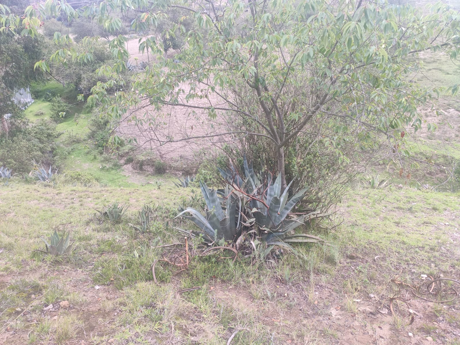 Foto del inmueble en Rural