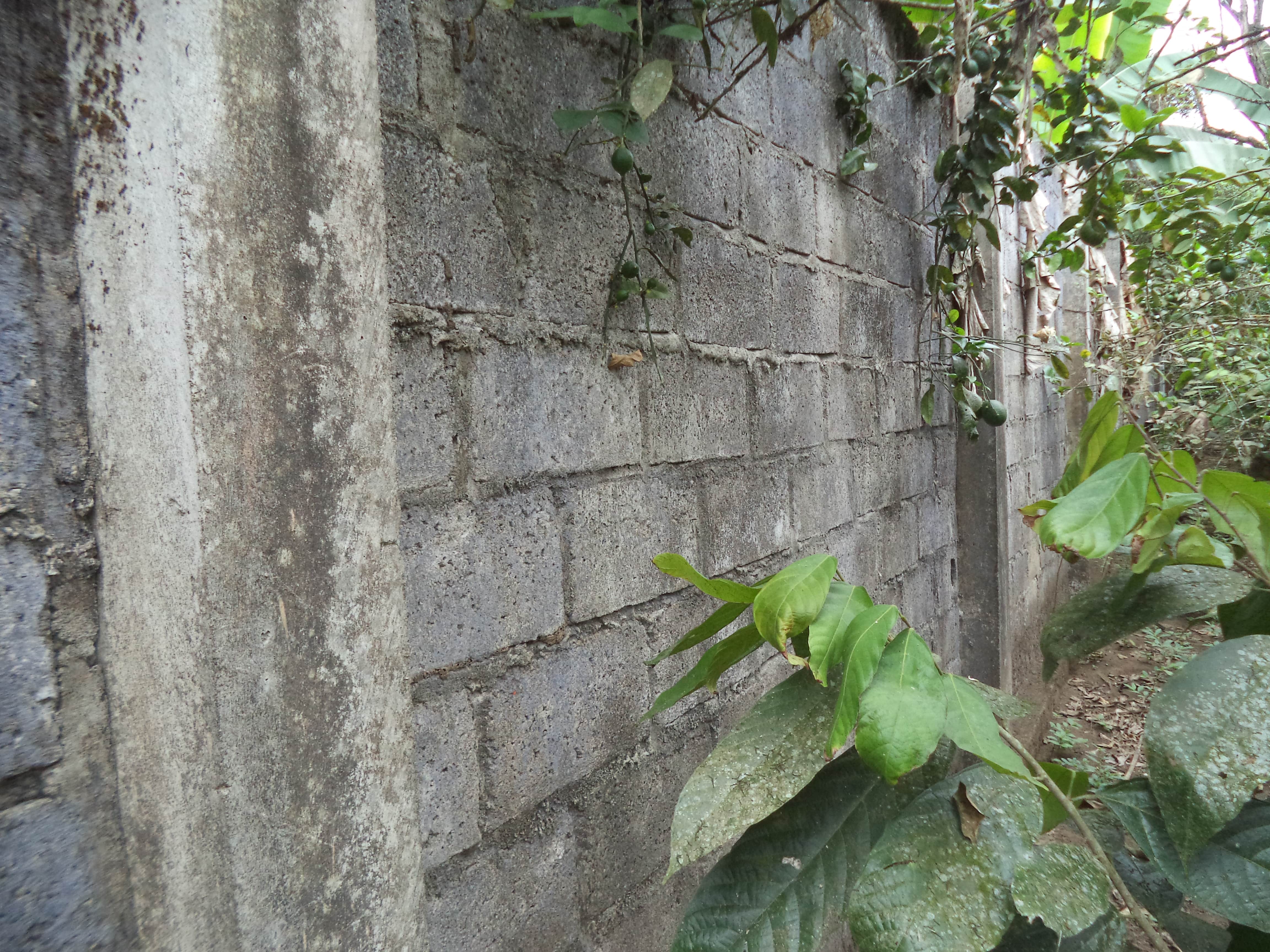 Foto del inmueble en La Delicia