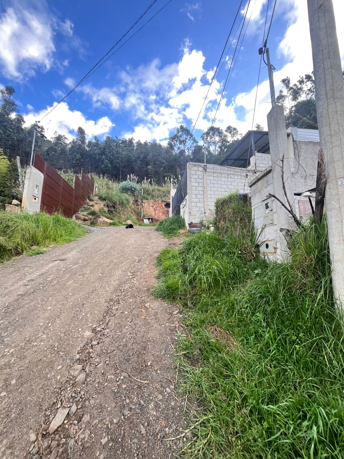 Foto del portal de remates judiciales