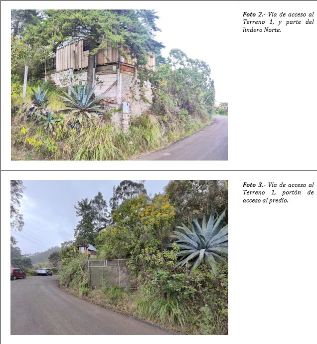 Foto del portal de remates judiciales