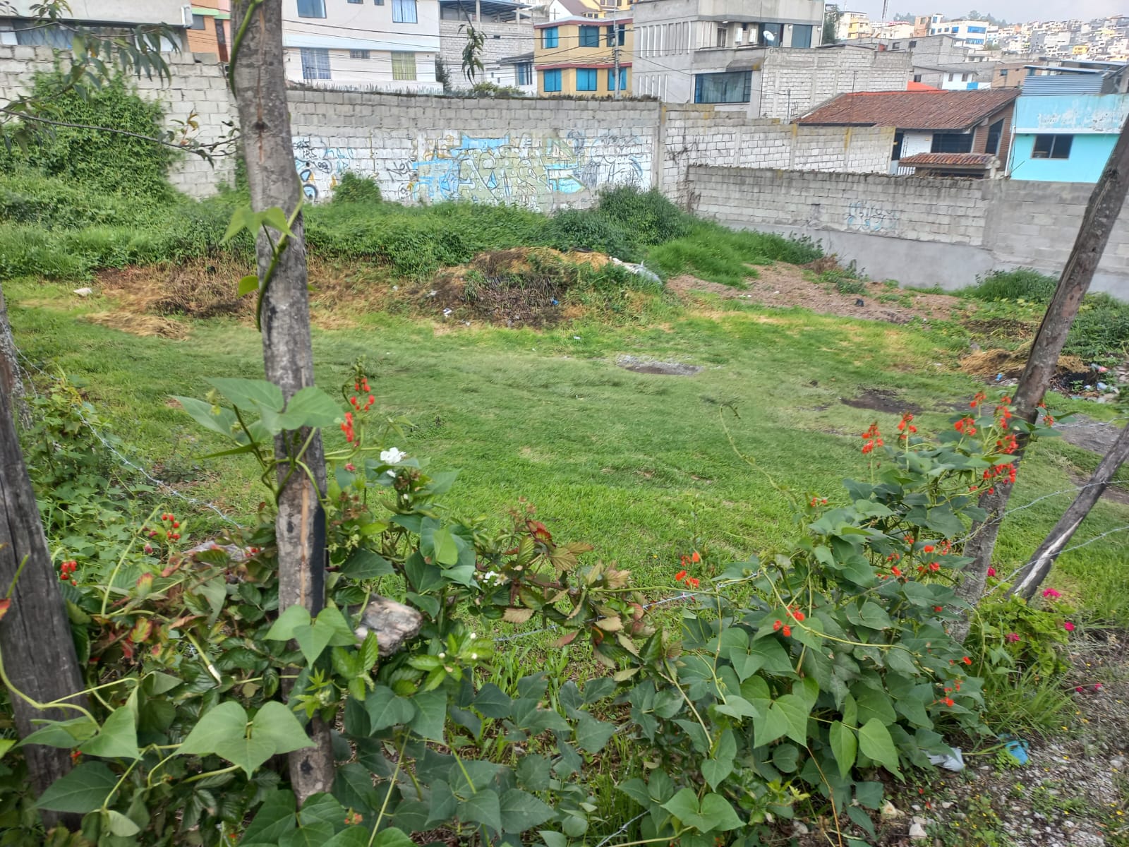 Foto del inmueble en Chaupicruz