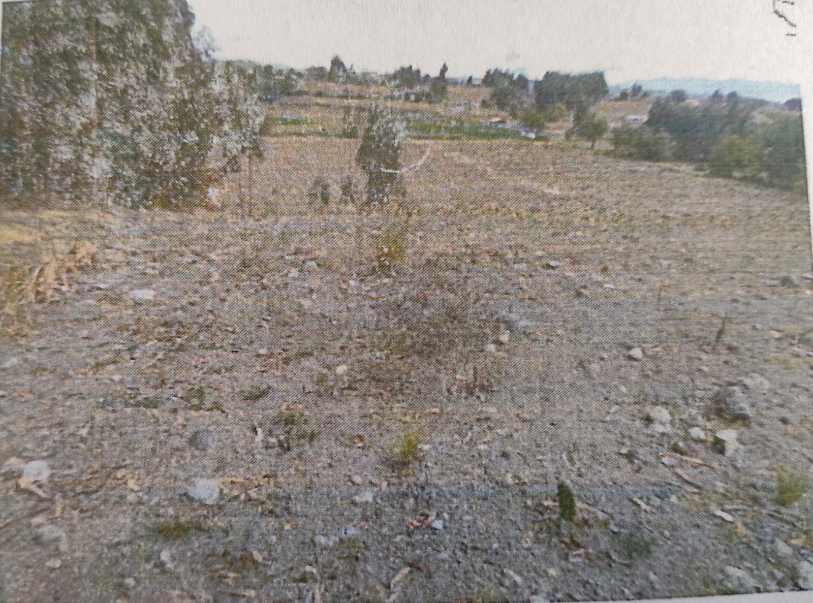 Foto del inmueble en Salatilin